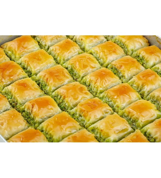 TAZE GÜNLÜK ÜRETİM